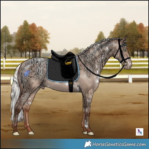 Horse Color:White Spotted Silver Amber Champagne Ice Dun Rabicano 