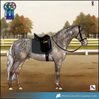 Horse Color:White Spotted Silver Amber Champagne Ice Dun Rabicano