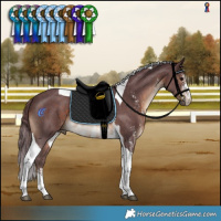 Horse Color:Chocolate Brown Sabino Tobiano Rabicano 