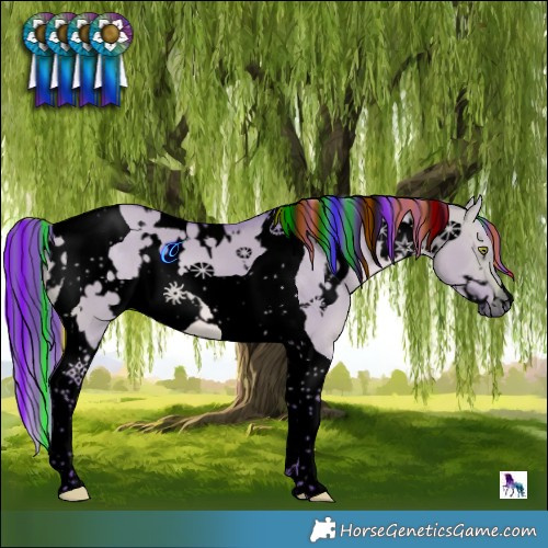 Horse Color:Void Painted Watercolor White Spotted Chocolate Brown Dun Tobiano 