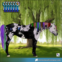 Horse Color:Void Painted Watercolor White Spotted Chocolate Brown Dun Tobiano 