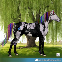 Horse Color:Void Painted Watercolor White Spotted Chocolate Brown Dun Tobiano 