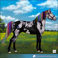 Horse Color:Void Painted Watercolor White Spotted Chocolate Brown Dun Tobiano 
