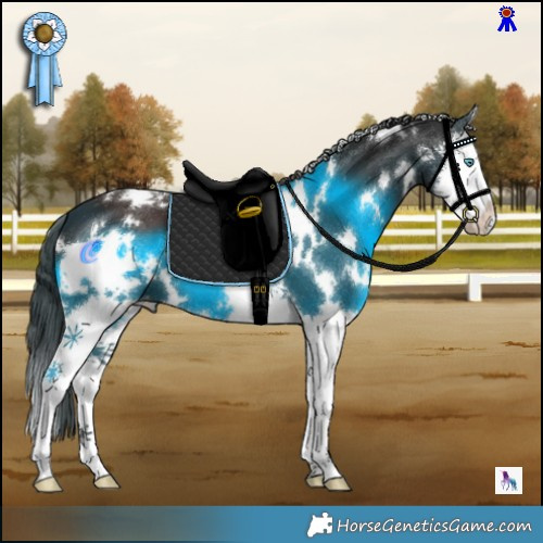 Horse Color:White Spotted Liver Chestnut Splash Appaloosa