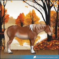 Horse Color:Chestnut Tobiano 
