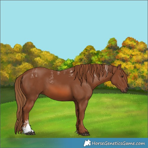 Horse Color:Powder White Chestnut