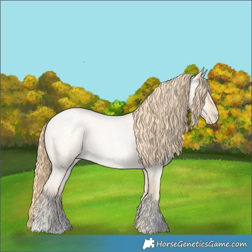 Horse Color:Buckskin Roan Pearl and Buckskin Roan Pearl
