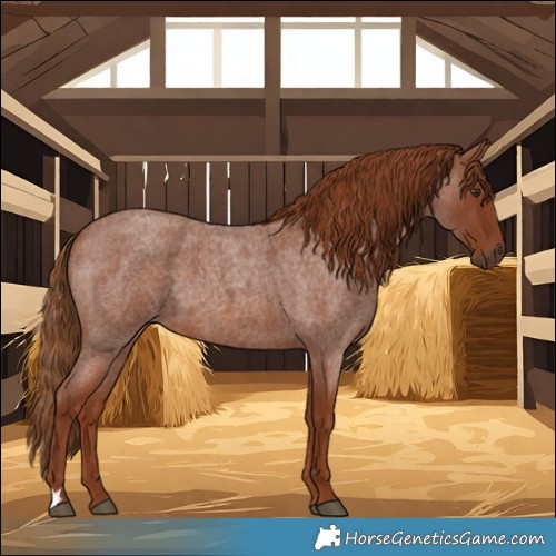 Horse Color:Red Roan 