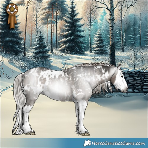 Horse Color:Powder White Gray White Spotted Silver Grullo Splash Rabicano 
