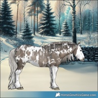 Horse Color:Powder White Gray White Spotted Silver Grullo Splash Rabicano 