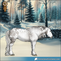 Horse Color:Powder White Gray White Spotted Silver Grullo Splash Rabicano 