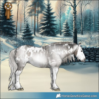 Horse Color:Powder White Gray White Spotted Silver Grullo Splash Rabicano