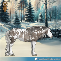 Horse Color:Powder White Gray White Spotted Silver Grullo Splash Rabicano