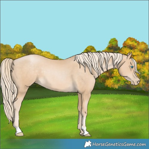Horse Color:Palomino Pearl 