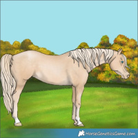 Horse Color:Palomino Pearl