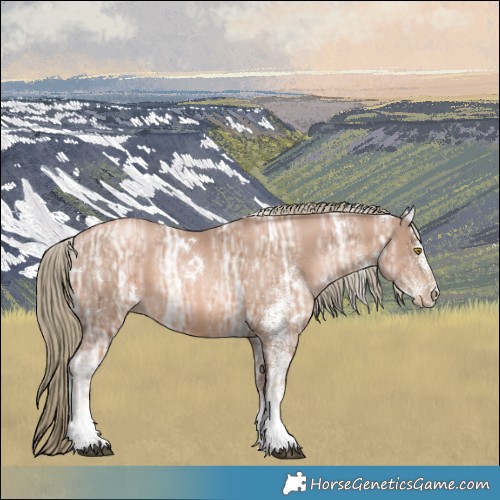 Horse Color:White Spotted Liver Chestnut Ice Pearl Mushroom 