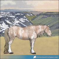 Horse Color:White Spotted Liver Chestnut Ice Pearl Mushroom 