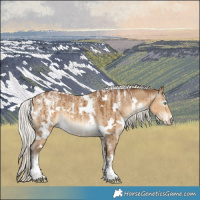 Horse Color:Powder White Gray White Spotted Silver Smoky Creme Dun Brindle 