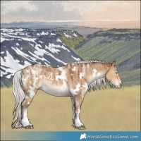 Horse Color:Powder White Gray White Spotted Silver Smoky Creme Dun Brindle 