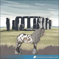 Horse Color:White Spotted Silver Smoky Grullo Splash Tobiano Appaloosa