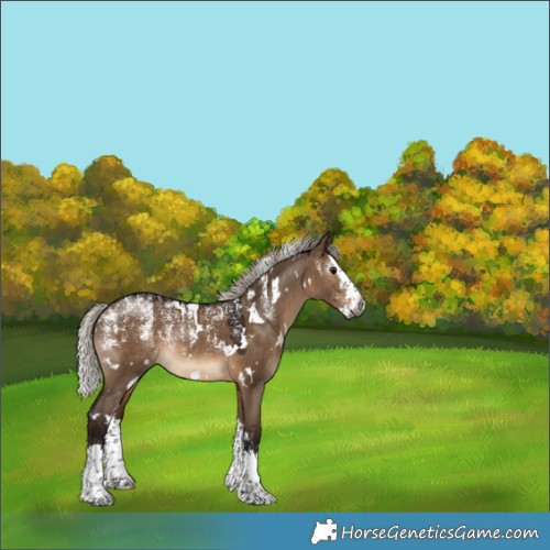 Horse Color:Powder White Gray White Spotted Silver Brown Dun Splash Rabicano 