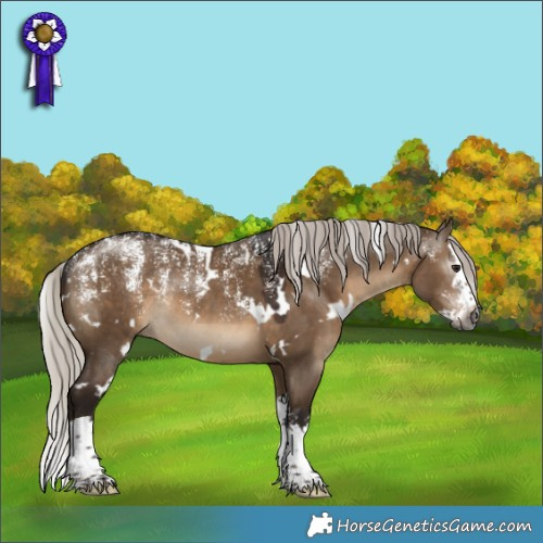 Horse Color:Powder White Gray White Spotted Silver Brown Dun Splash Rabicano 