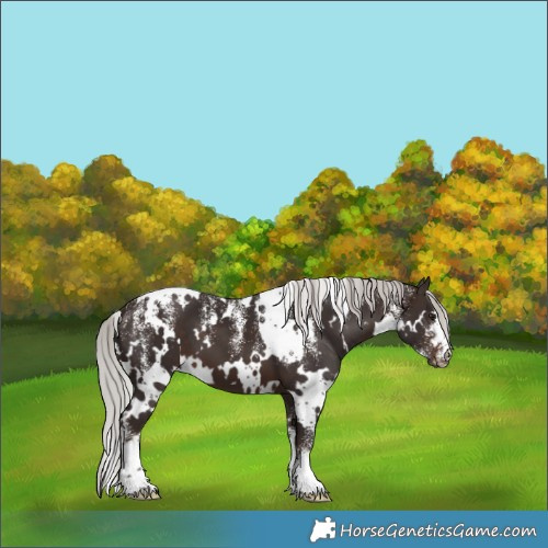 Horse Color:Powder White White Spotted Silver Brown