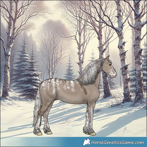 Horse Color:Powder White Silver Grullo 