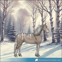 Horse Color:Powder White Silver Grullo