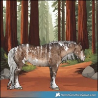 Horse Color:Powder White White Spotted Silver Brown Dun Brindle