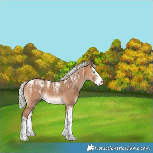 Horse Color:Powder White Silver Bay Dun Splash Brindle 