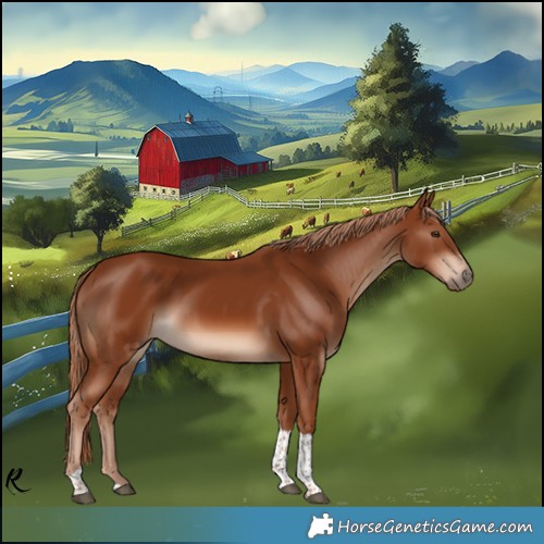 Horse Color:Chestnut Tobiano 