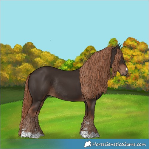 Horse Color:Liver Chestnut Rabicano