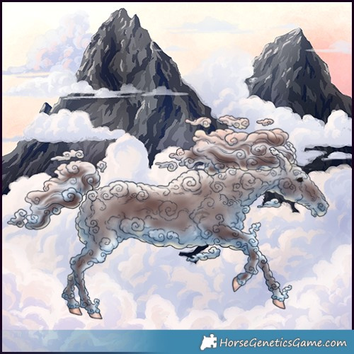 Horse Color:Chocolate Black