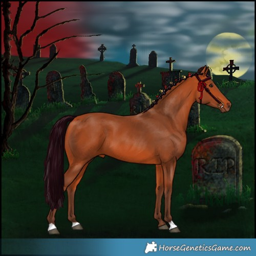 Horse Color:Silver Bay 