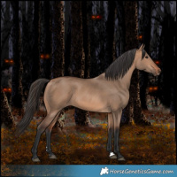 Horse Color:Bay Dun