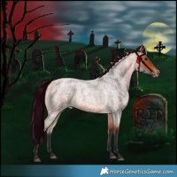 Horse Color:Bay Roan 