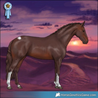 Horse Color:Chocolate Brown Tobiano