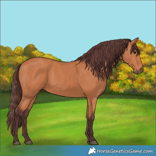 Horse Color:Chocolate Bay 