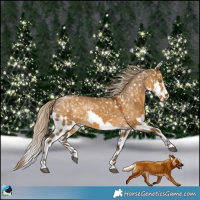Horse Color:Chocolate Palomino Dun Skewed LP Spotted 
