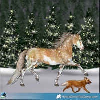 Horse Color:Chocolate Palomino Dun Skewed LP Spotted
