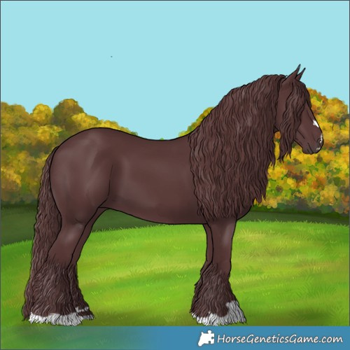 Horse Color:Chocolate Black
