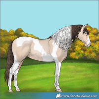 Horse Color:Amber Champagne Dun Tobiano