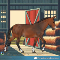 Horse Color:Bay 