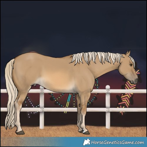 Horse Color:Chocolate Palomino Dun 