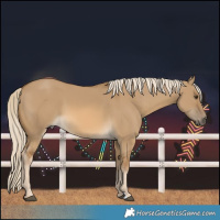Horse Color:Chocolate Palomino Dun 