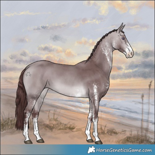 Horse Color:White Spotted Chocolate Bay Chinchilla 