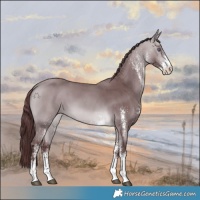 Horse Color:White Spotted Chocolate Bay Chinchilla 