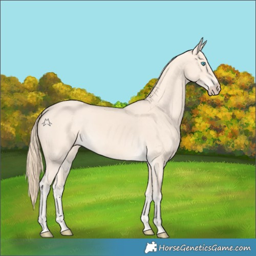 Horse Color:Perlino 