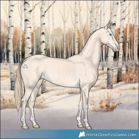 Horse Color:Perlino